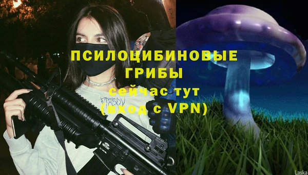 ПСИЛОЦИБИНОВЫЕ ГРИБЫ Зерноград