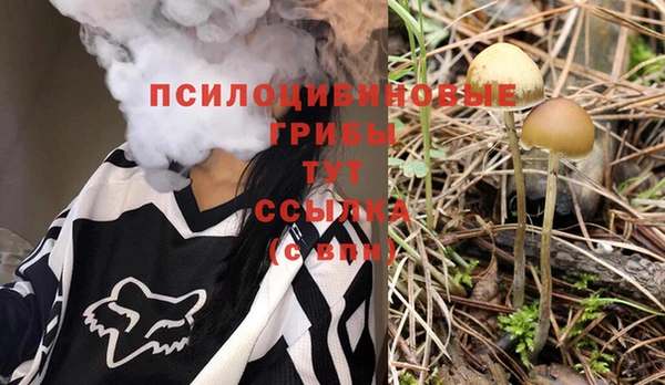 ПСИЛОЦИБИНОВЫЕ ГРИБЫ Зерноград