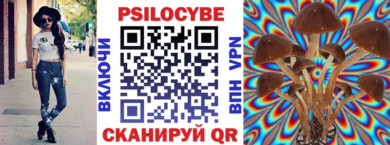 Псилоцибиновые грибы Psilocybine cubensis  omg онион  Кашин 